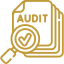 audit icon
