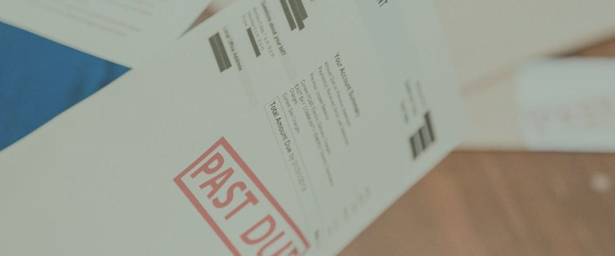 21   KRAJOWY REJESTR DŁUŻNIKÓW