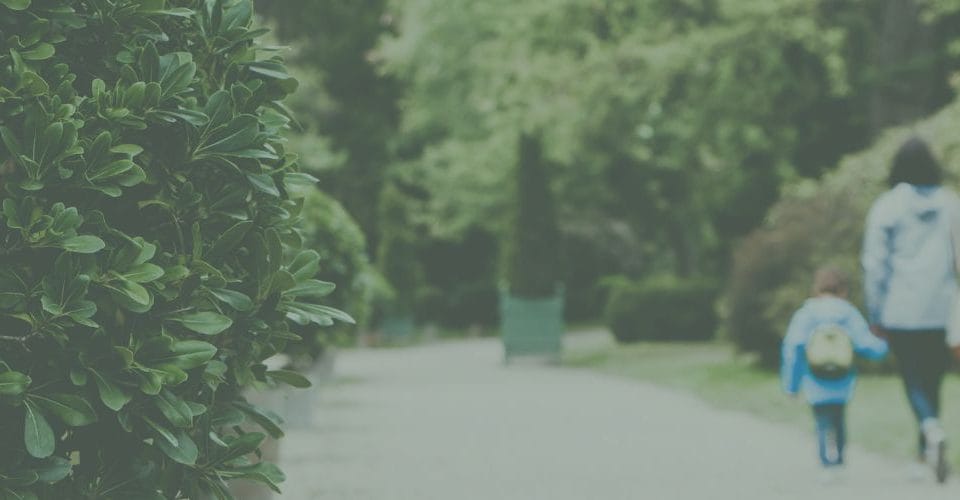 41   ALIMENTY NA DZIECKO   WWW